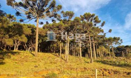 Chácara / sítio à venda em Zona Rural, Bom Jardim da Serra 