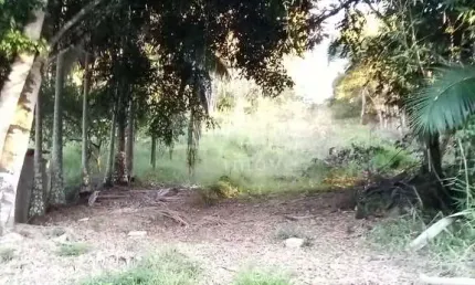 Fazenda à venda no Imigrantes, Guabiruba 