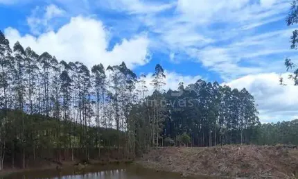 Fazenda à venda no Centro, Major Gercino 