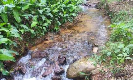 Chácara / sítio com 3 quartos à venda na Zona Rural, Major Gercino 