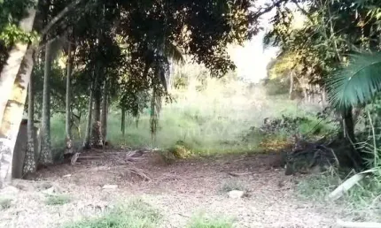 Chácara à venda no bairro Imigrantes em Guabiruba/SC