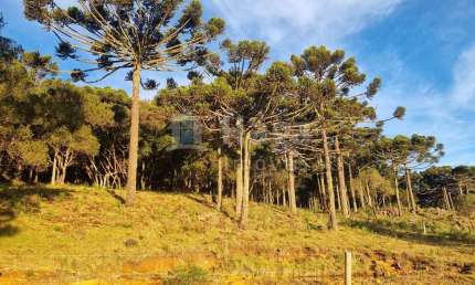 Terreno à venda em Zona Rural, Bom Jardim da Serra 