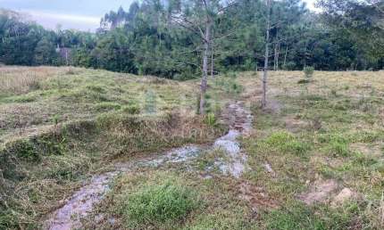 Chácara / sítio à venda em Claraíba, Nova Trento 
