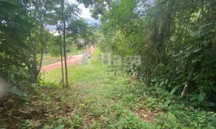 Fazenda à venda em Claraíba, Nova Trento 