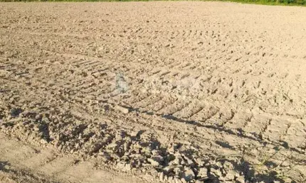 Fazenda à venda na Galera, Canelinha 