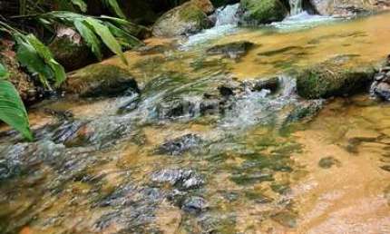 Fazenda à venda em Vigolo, Nova Trento 