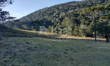 Terreno para sítio á venda em bom jardim da serra/sc