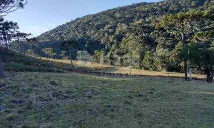 Terreno para sítio á venda em bom jardim da serra/sc
