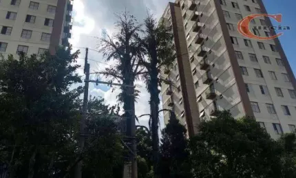 Apartamento com 2 dormitórios à venda, 58 m² por r$ 320.000,00 - vila campestre - são paulo/sp