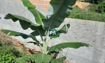 Chácara / sítio à venda no Colinas, Poços de Caldas  por R$ 150.000