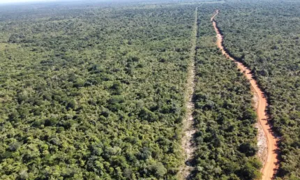 Fazenda com 2 salas à venda na Avenida Landri Sales, Zona Rural, Piracuruca