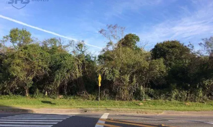 Terreno à venda, 5292 m² por R$ 3.816.000,00 - Vorstadt - Blumenau/SC