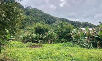 Terreno à venda, 2.633 m² por R$ 530.000,00 - Progresso - Blumenau/SC