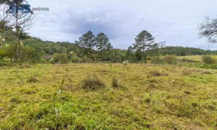 Terreno à venda, 63370 m² por R$ 3.500.000,00 - Fortaleza Alta - Blumenau/SC