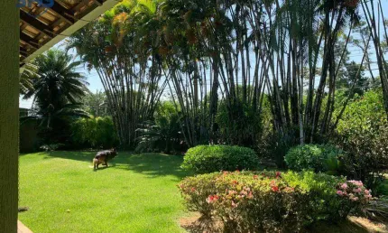 Terreno à venda, 6340 m² por R$ 4.500.000,00 - Passo Manso - Blumenau/SC