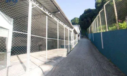 Galpão para alugar, 530 m² por r$ 15.100,00/mês - velha - blumenau/sc
