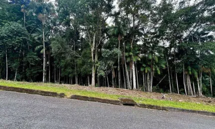 Terreno à venda, 765 m² por R$ 500.000,00 - Velha - Blumenau/SC