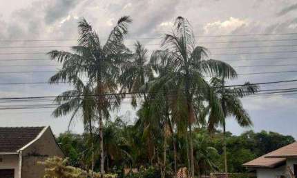 Terreno à venda, 392 m² por R$ 350.000,00 - Velha - Blumenau/SC