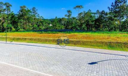 Terreno à venda, 352 m² por R$ 599.000,00 - Velha - Blumenau/SC