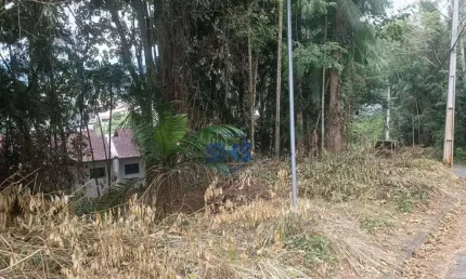Terreno à venda, 438 m² por r$ 590.000,00 - velha - blumenau/sc