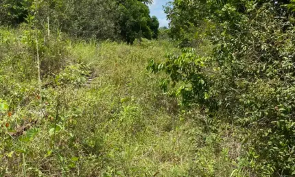 Fazenda à venda na Zona Rural, Araçás 