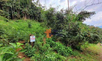 Terreno à venda, 1320 m² por R$ 100.000,00 - Albuquerque - Teresópolis/RJ