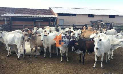 Fazenda à venda, 1258400 m² por R$ 9.100.000 - Banqueiros - Araruama/RJ