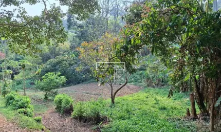 Sitio São Roque - 16 alqueires - Excelente localização - Oportunidade-12.000.000