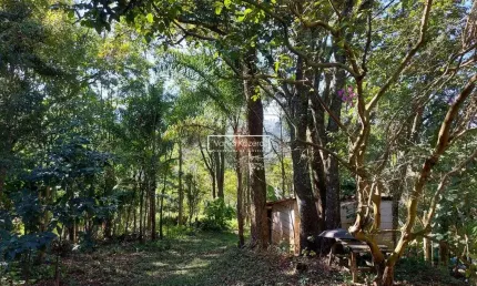 Sitio em São Roque - 16 alqueires -  Oportunidade para vilinhas - 12.000.000,00