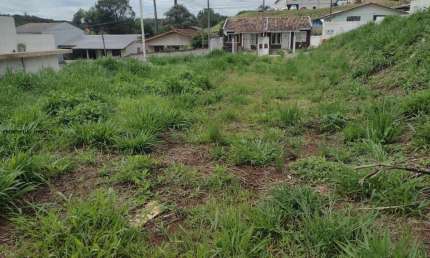Terreno para Venda em Campina Grande do Sul, NOVO DAHER