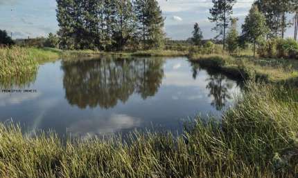 Chácara para Venda em Quatro Barras, Granja Das Acácias