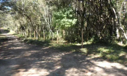 Chácara para Venda em Campina Grande do Sul, TIMBU VELHO