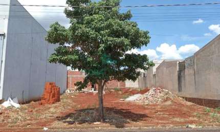Ótimo Terreno em Marialva com Localização Privilegiada!