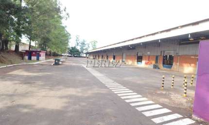 Barracão / Galpão / Depósito para alugar na Dalmi de Carvalho Pereira, --, Estância Dlaville, Londrina por R$ 190.000