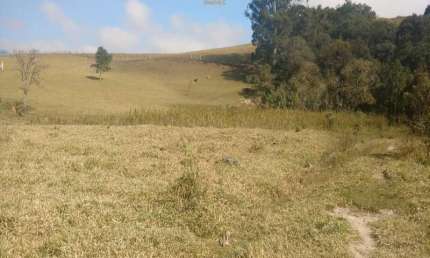 TERRENO COM 25.000 m², ÓTIMA TOPOGRAFIA EM BRAGANÇA PAULISTA - SP