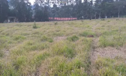 Terreno à venda na Rodovia Capitão Barduíno, Curitibanos, Bragança Paulista
