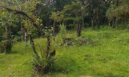 Terreno à venda na Zona Rural, Campina Grande do Sul 