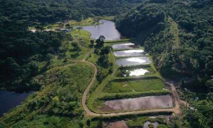 Chácara / sítio com 2 quartos à venda no Centro, Bocaiúva do Sul 
