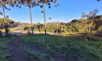Área Industrial para venda Campina Grande do Sul - PR