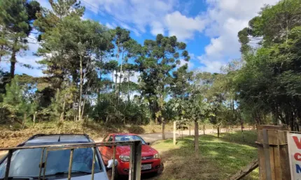 Chácara / sítio à venda na Rua Coronel Monteiro, Zona Rural, Campina Grande do Sul