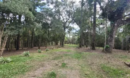 Terreno à venda na Rua Coronel Monteiro, Barragem, Campina Grande do Sul