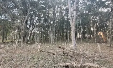Terreno à venda na Zona Rural, Campina Grande do Sul 