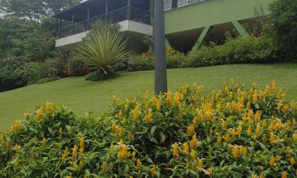 Casa com 8 quartos à venda no Samambaia, Petrópolis 