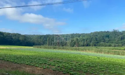Terreno na cidade de Suzano São Paulo com a 194.153,97 m²