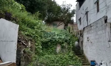 Terreno residencial com 320 m² à venda na Vila Maria Alta, para construir ou revitalizar