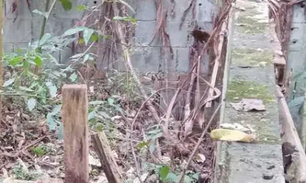 Terreno à venda em Itapevi-SP, bairro Recanto Verde, 1.125,00 m² de área! Venha conferir essa oportunidade única!