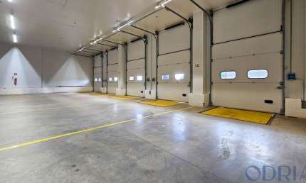 Aluguel - Locação - CÂMARAS FRIGORÍFICAS - OPERAÇÃO LOGÍSTICA - 842m² - BRASÍLIA - DF