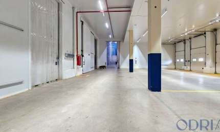Aluguel - Locação - CÂMARAS FRIGORÍFICAS - OPERAÇÃO LOGÍSTICA - 842m² - BRASÍLIA - DF