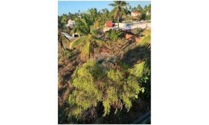 Terreno em porto de galinhas no Condomínio Porto Coqueiral