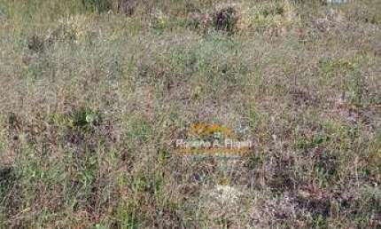 Terreno à venda, 2576 m² por R$ 800.000 - Salinas - Balneário Arroio do Silva/SC